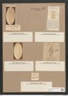 Navicula mutica Kuetz. (de-Toni-Nr.: Genus 1, Species 397) Zeichnungen Sammlung Grunow Nr. 890 (NHMW-BOT-W0367343)